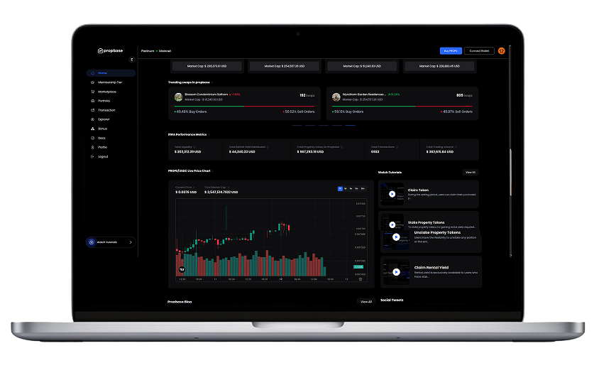 Liquidity & Market Infrastructure